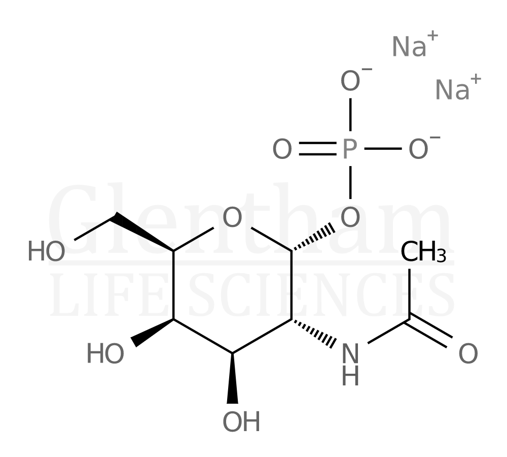 N Acetyl D Galactosamine Phosphate Disodium Salt Cas